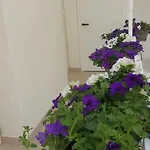 Guest house Matera Guest House 3*