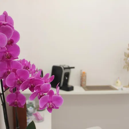 Πανσιόν Matera Guest House 4*