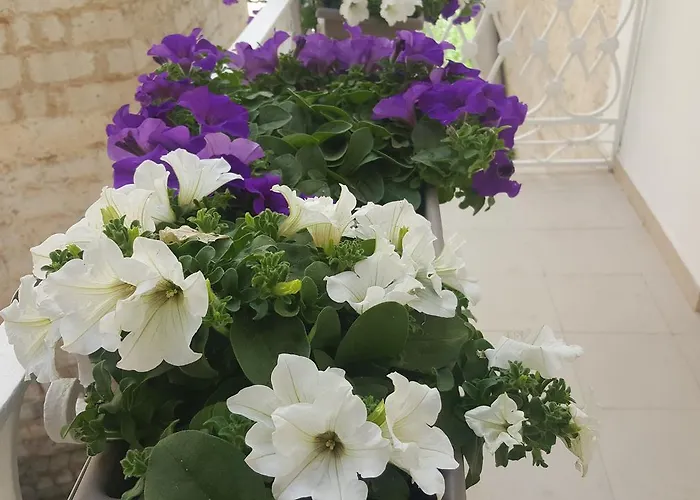 Matera Guest House Affittacamere Matera